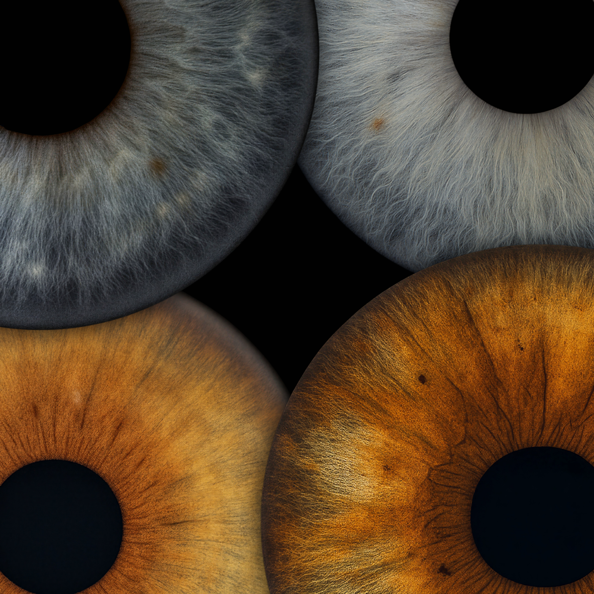 Composizione Multi-Iride